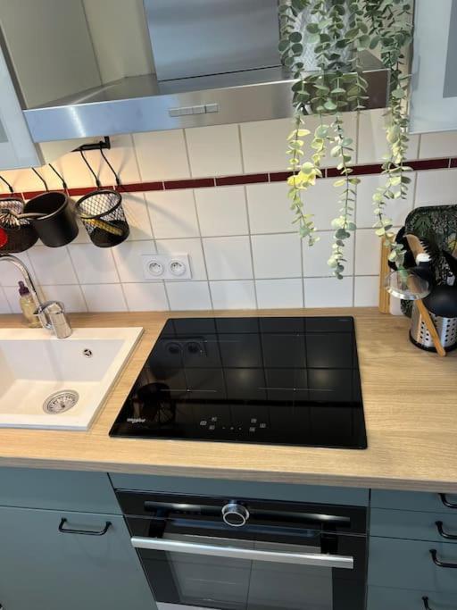 Apartment Adorable Neudorf Parking Sous Sol *