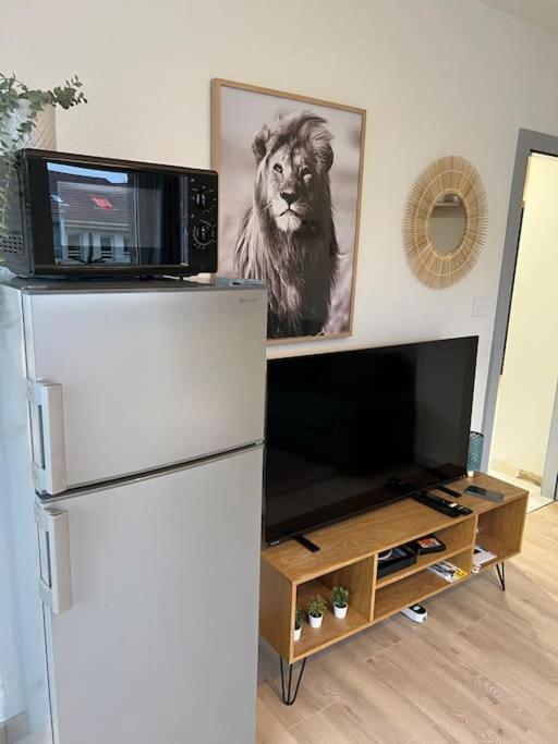 Adorable Neudorf Parking Sous Sol Apartment