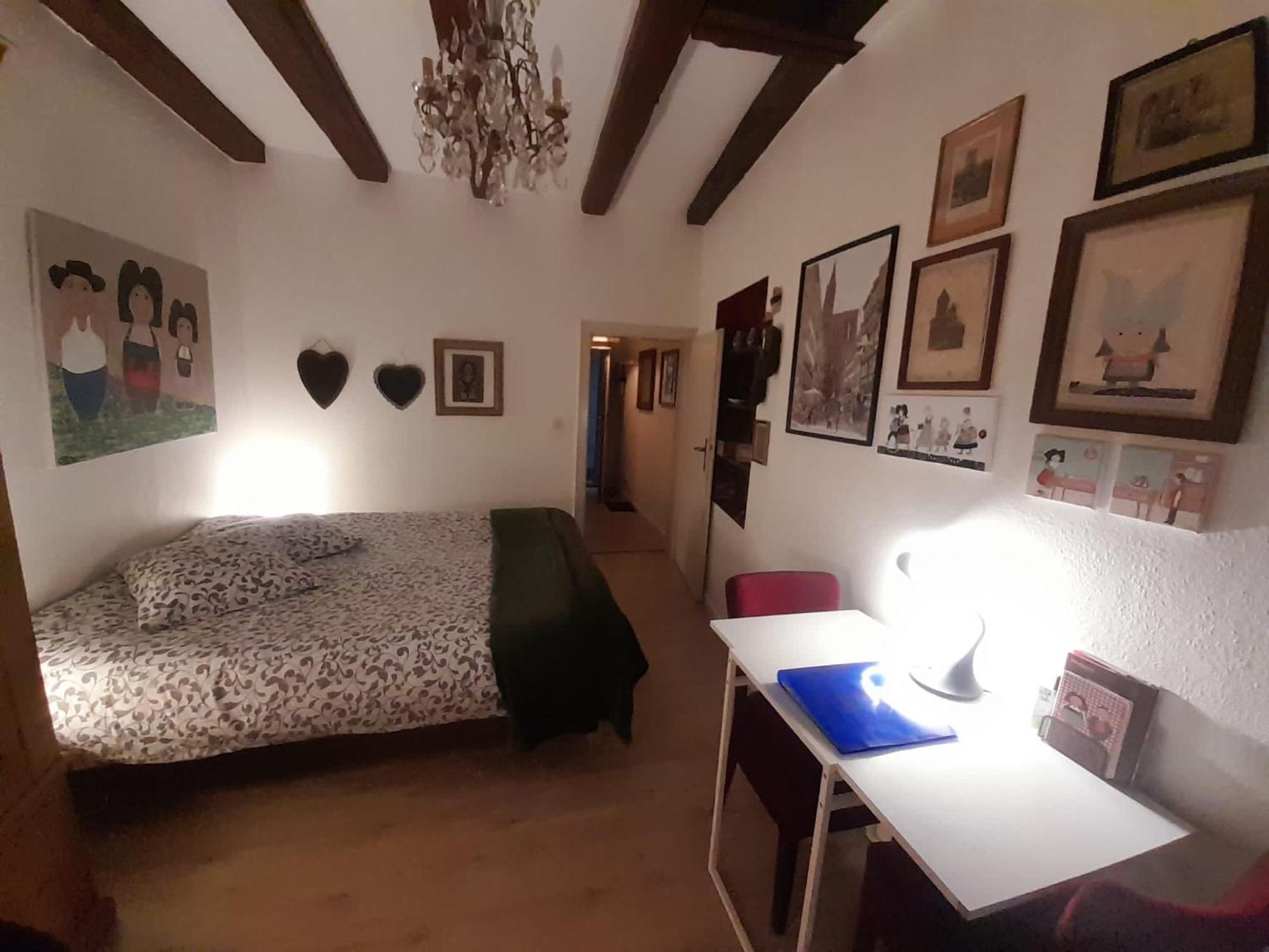 Appartement Cathédrale Strasbourg