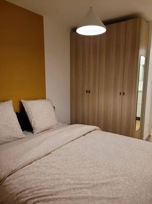 Appartement L'univers Au Blanc. Strasbourg