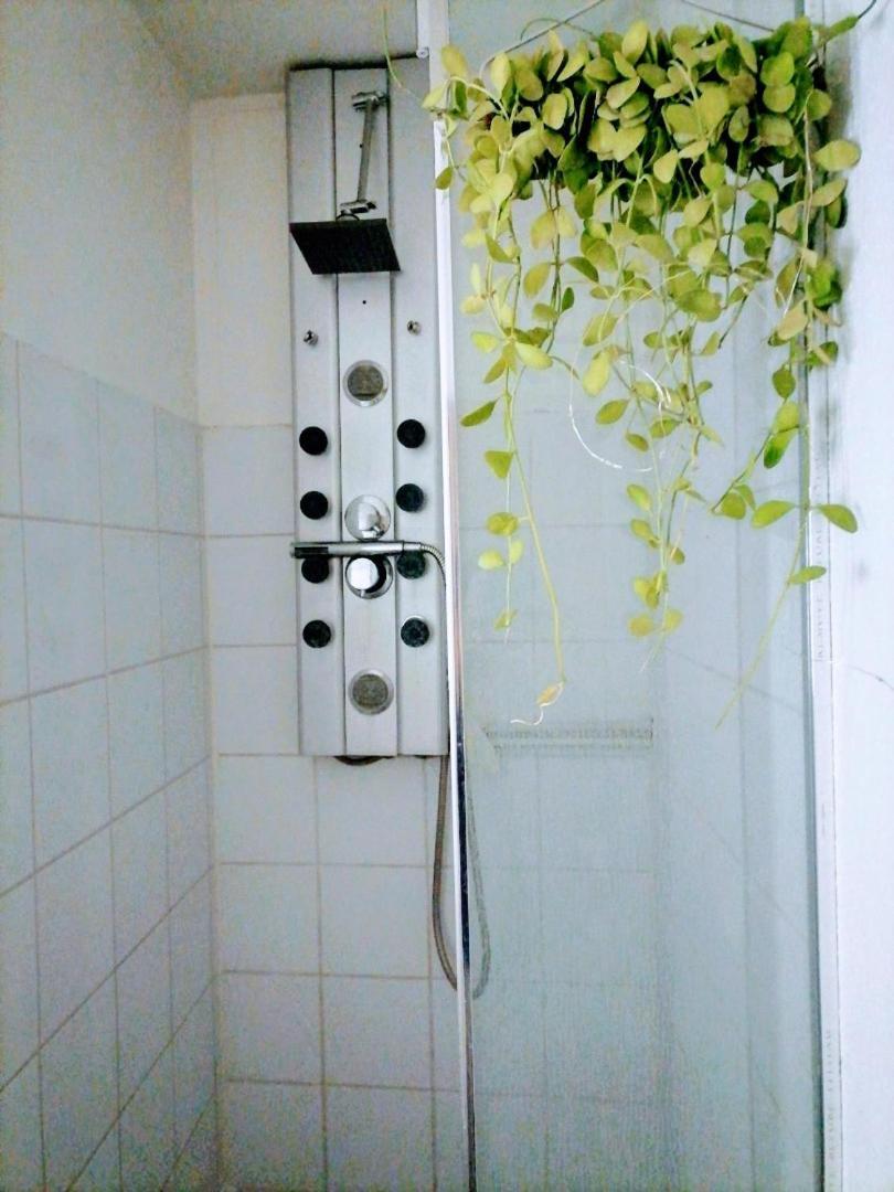 Apartment Attique