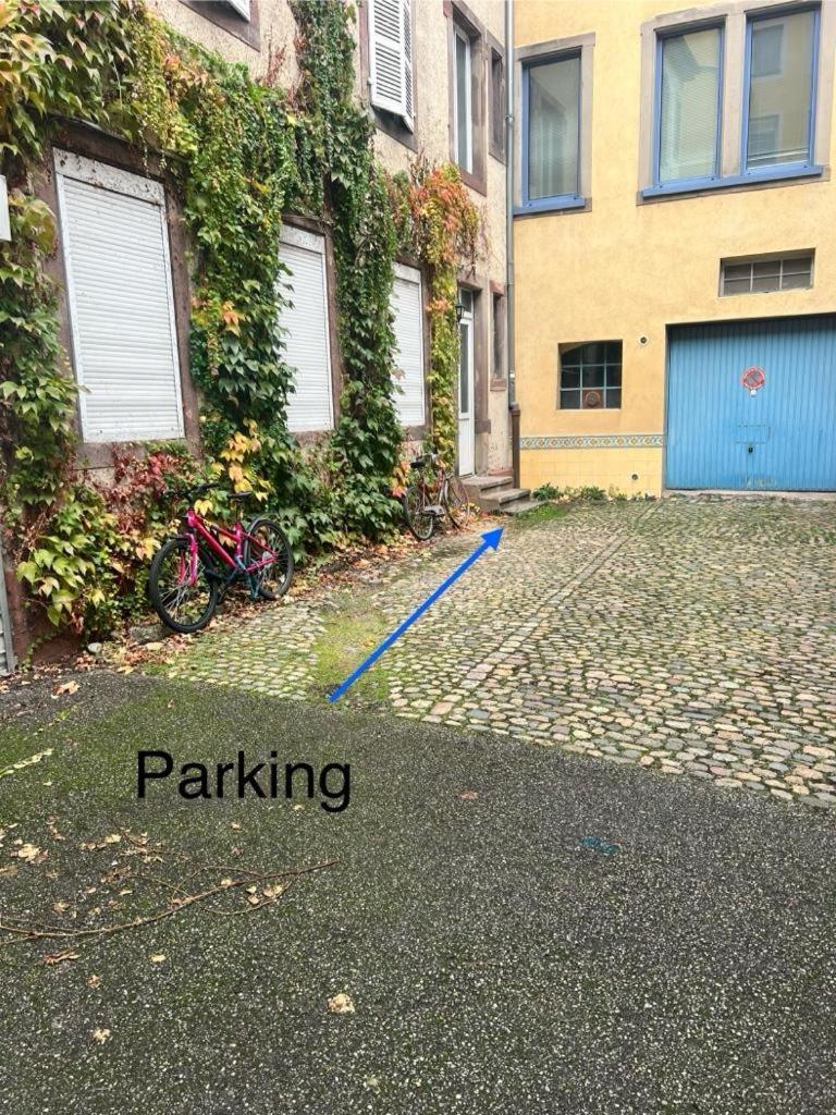 Appartement Chez Sandrine, Mon Elegant + Parking Strasbourg