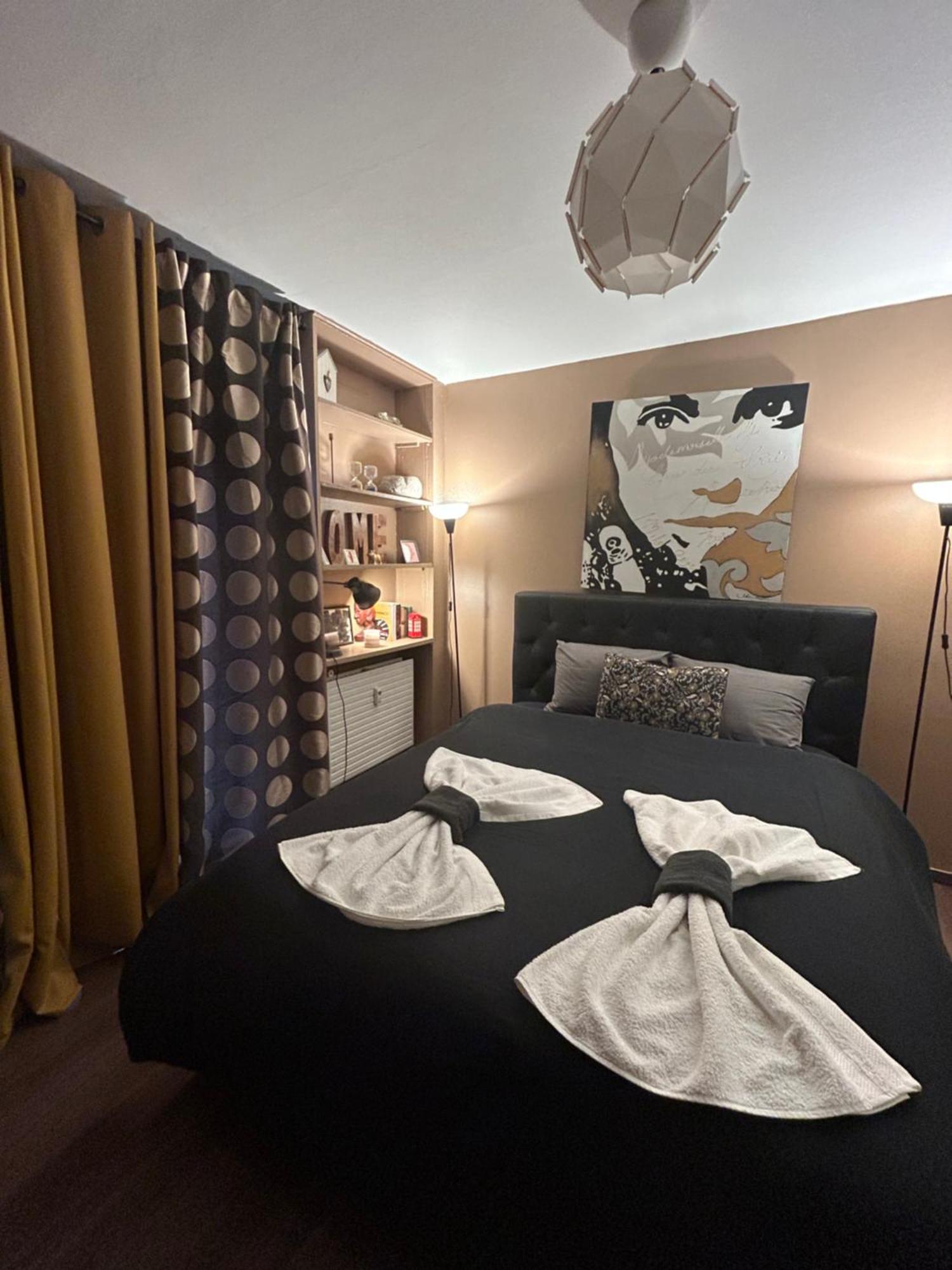 Appartement & Hyper Centre De - Proche Cathedrale & Petite France Strasbourg
