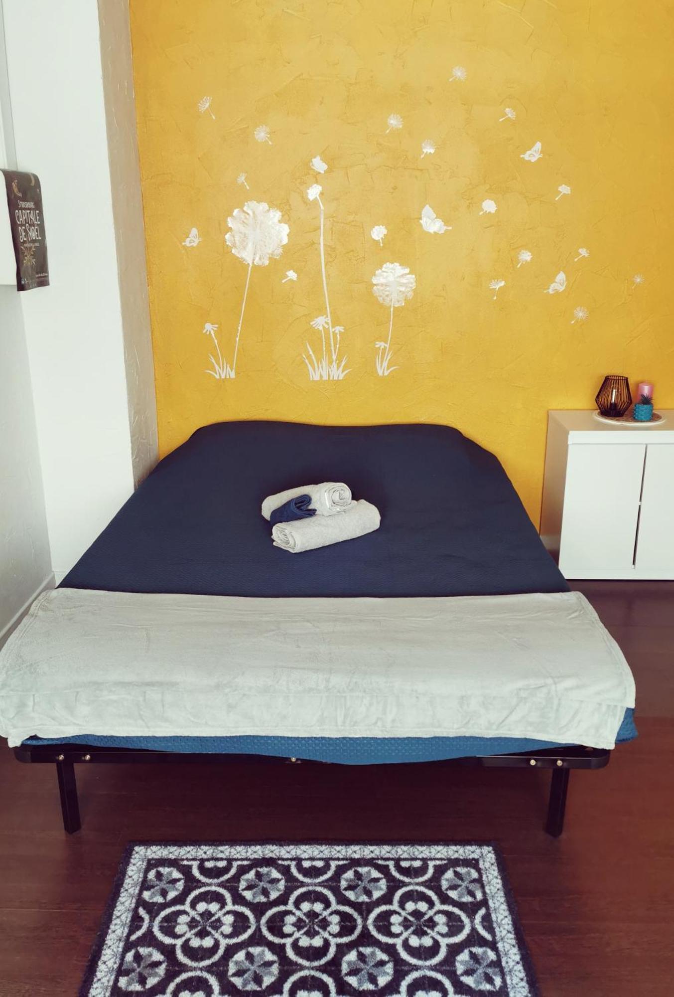 Cozy Appartement Strasbourg