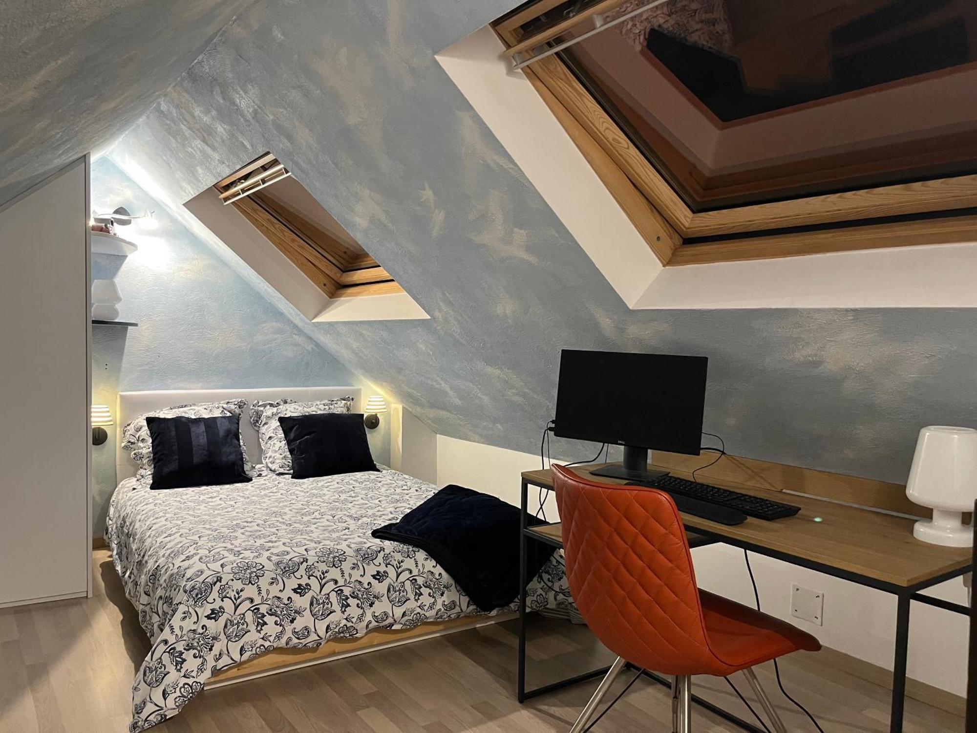 Duplex Privatise, Climatise, 2 Appartement Strasbourg