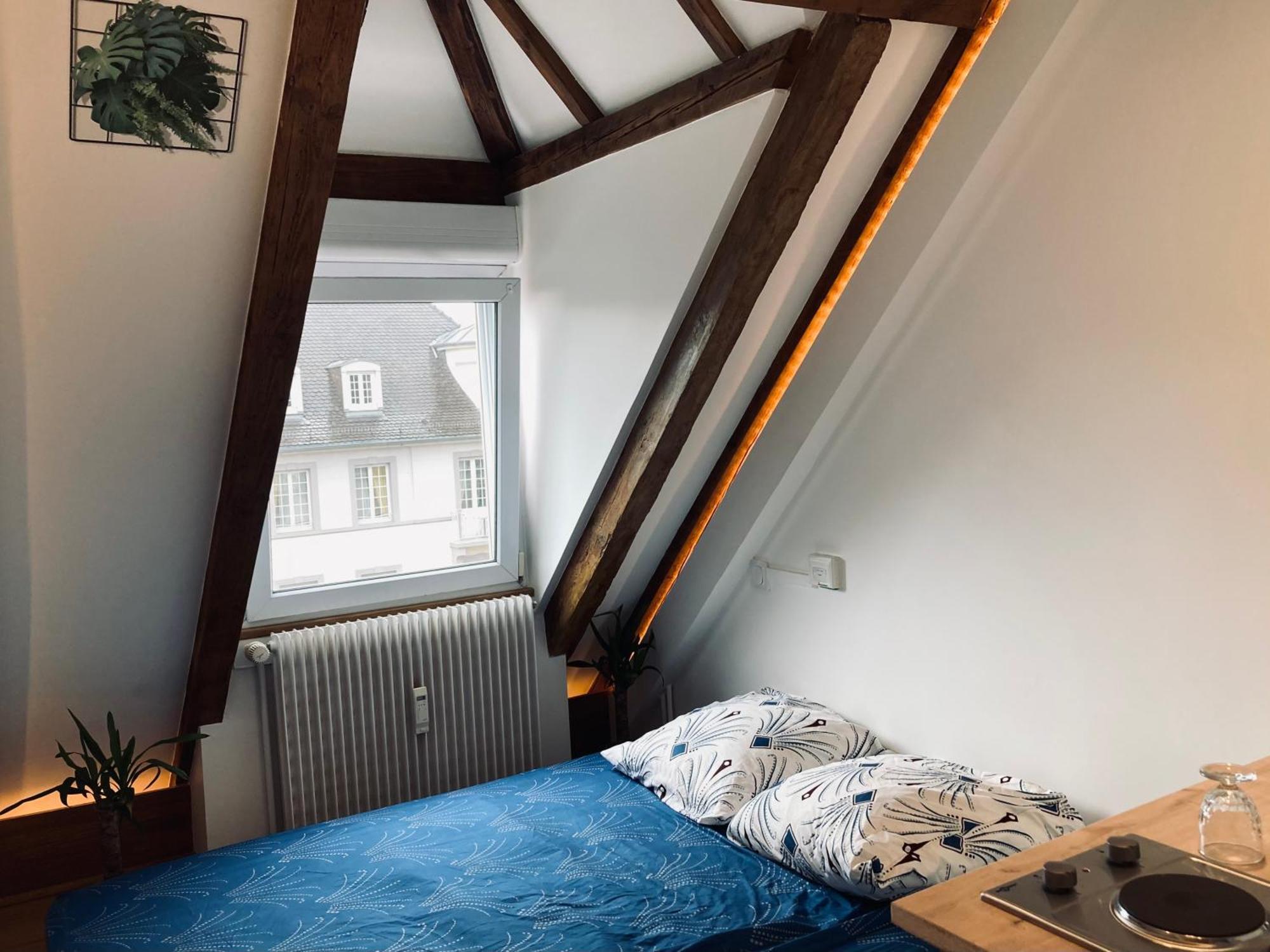 Quartier De L'orangerie Apartment Strasbourg