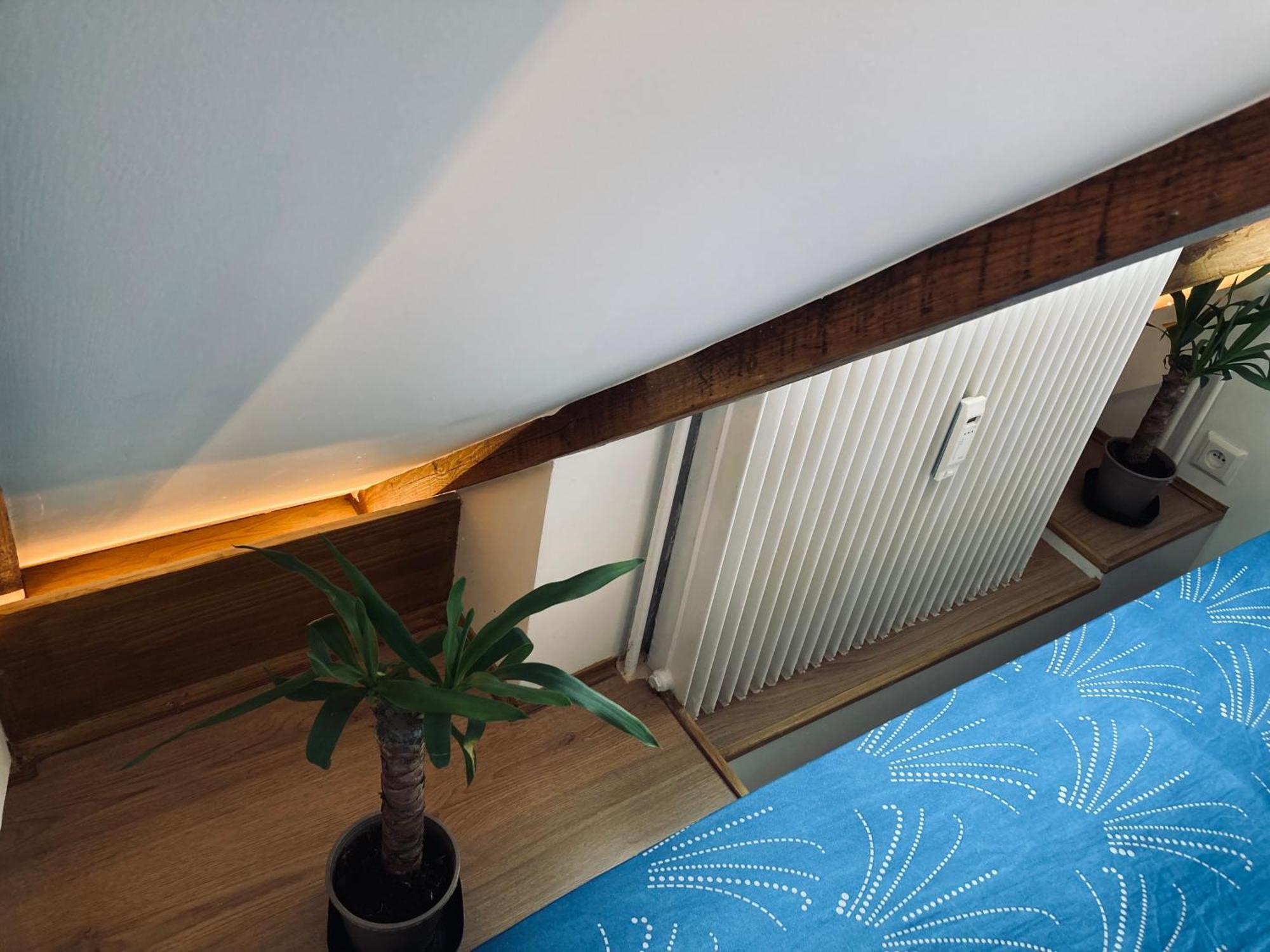Apartment Quartier De L'orangerie Strasbourg