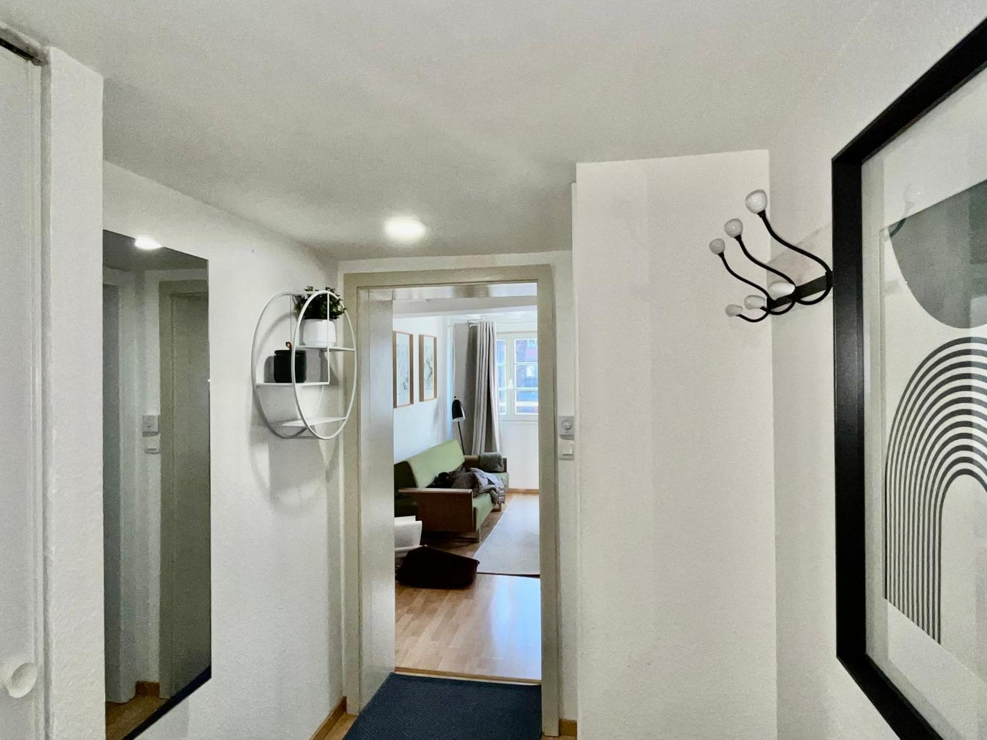 Appartement Chez Samuel 3 Pieces Au Coeur De La Krutenau *