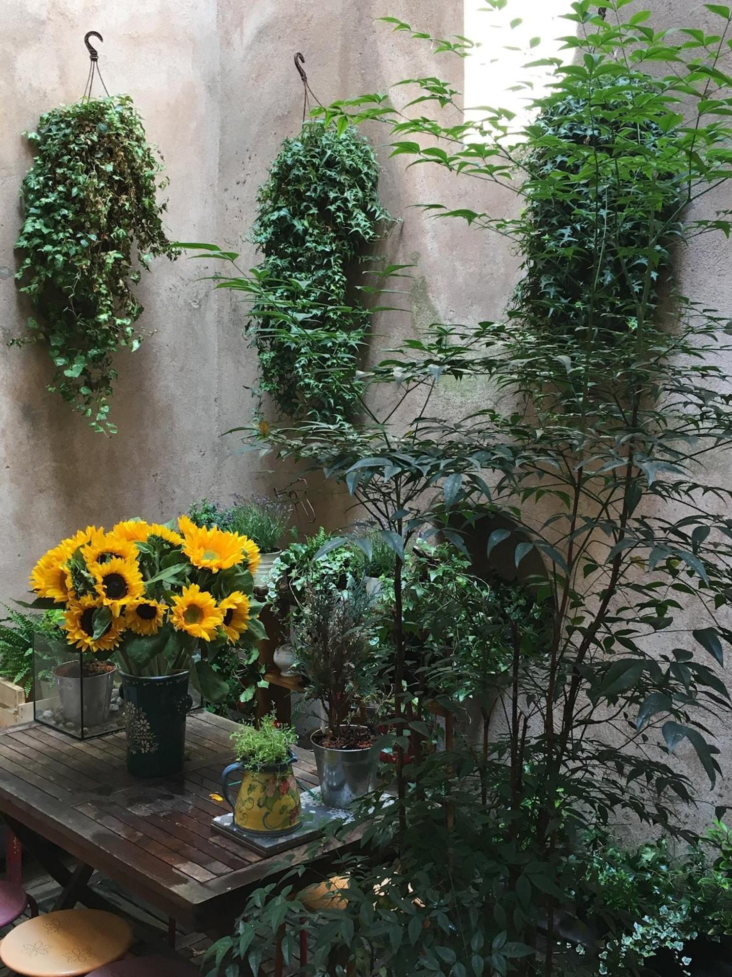 Triplex Avec Terrasse, Aux Pieds De La Cathedrale, 5 Personnes Apartment