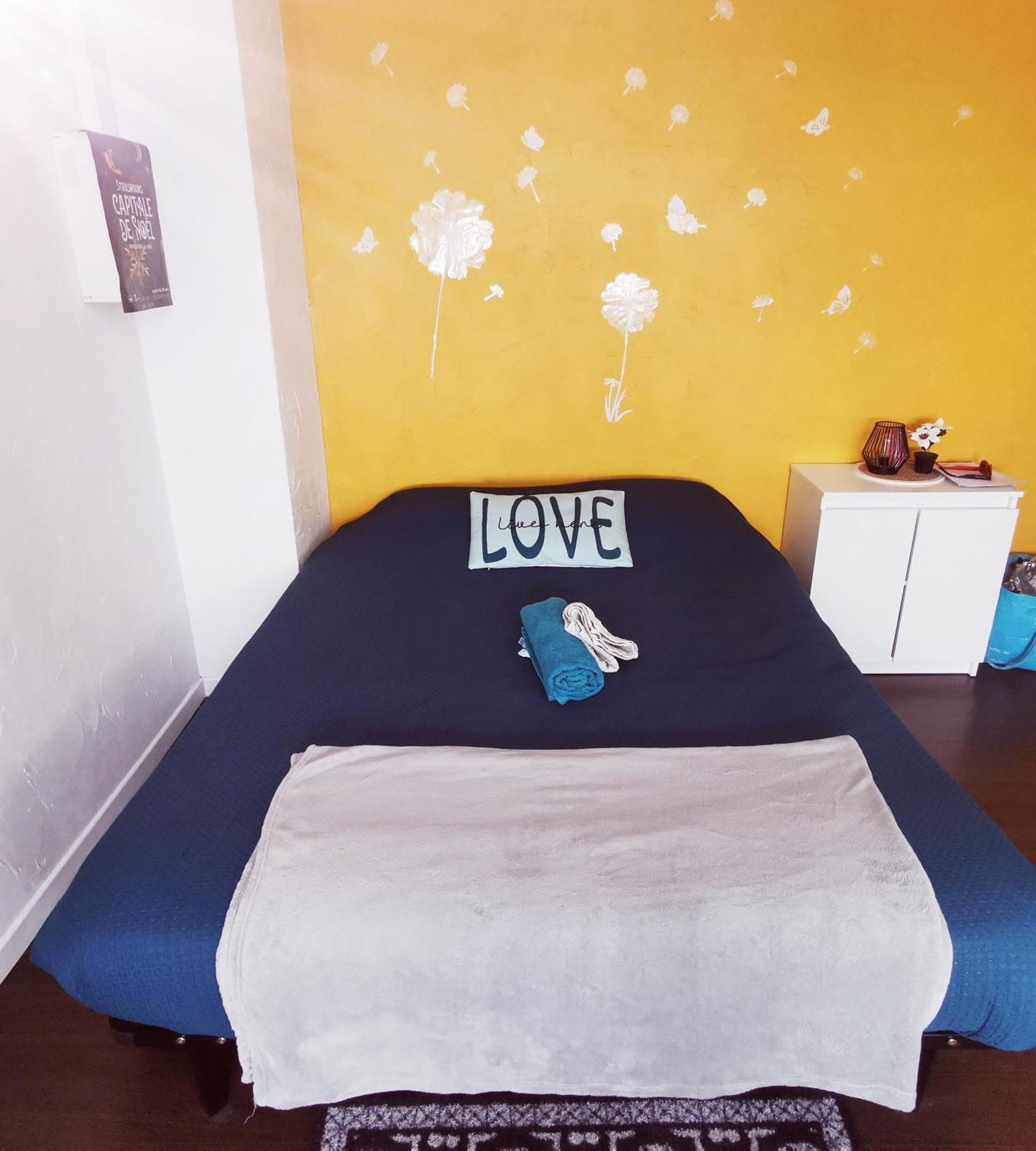 Appartement Cozy Strasbourg