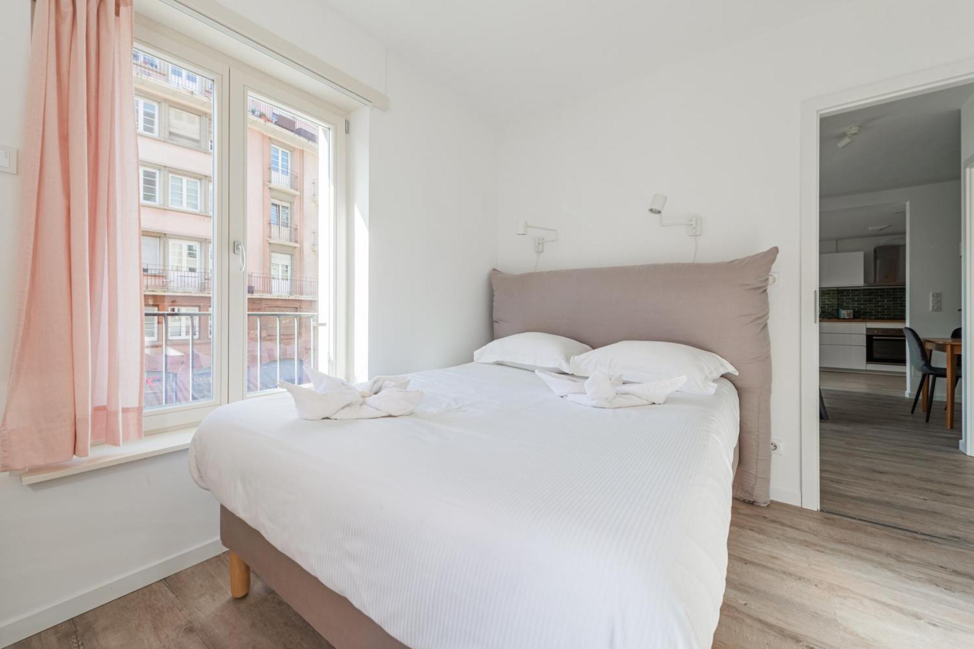 Le Strasbourgeois - Appt 60m² - 6 Voyageurs Appartement