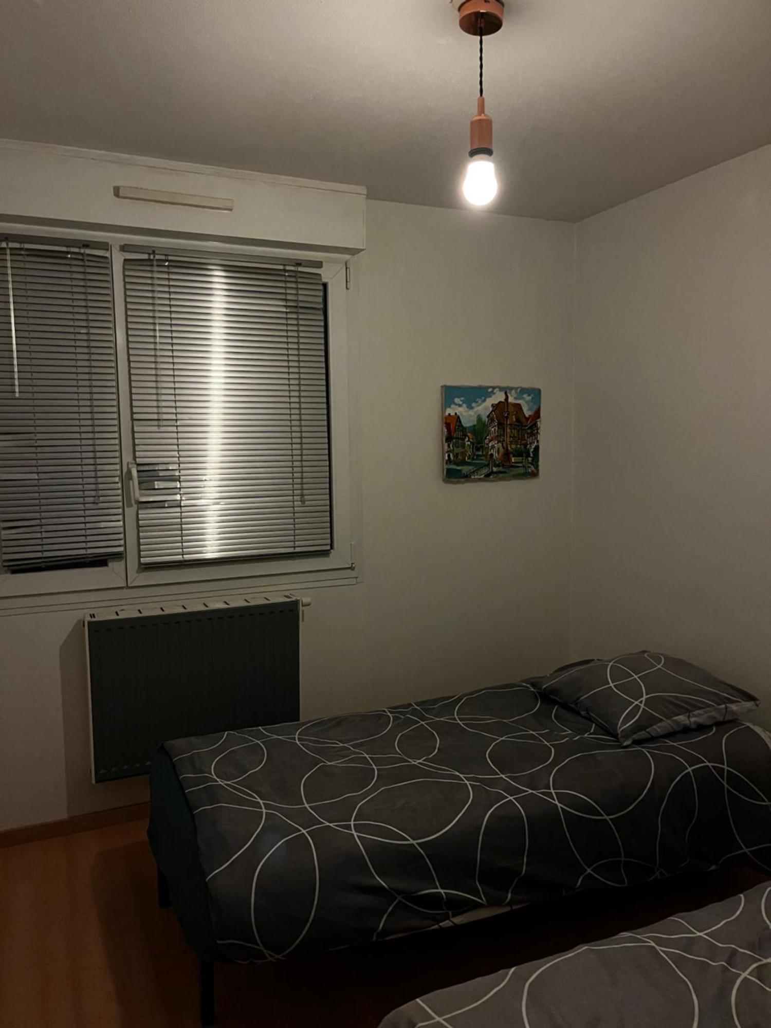Apollon Robertsau Appartement