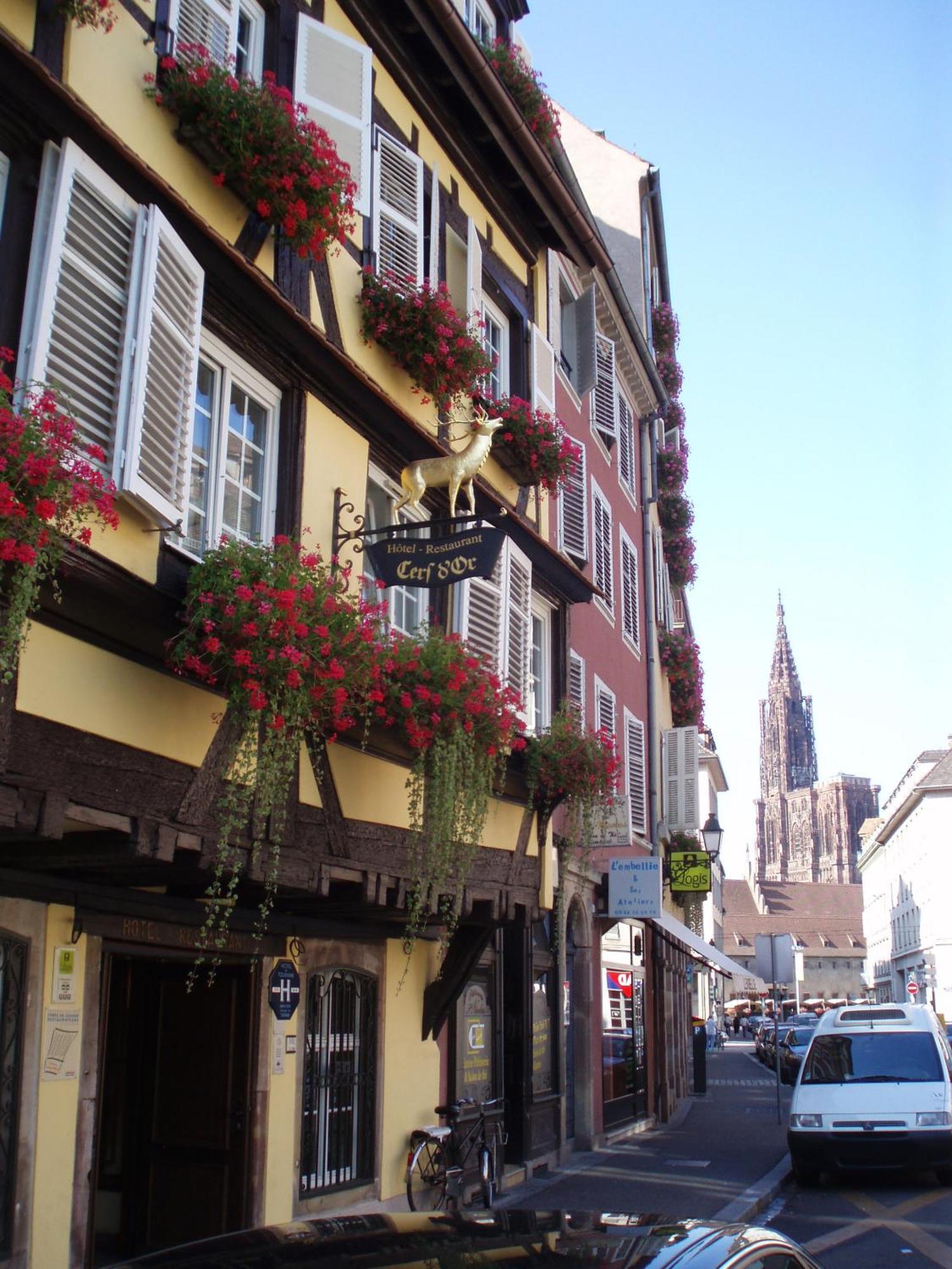 Hotel Logis Restaurant Au Cerf D'or 3*