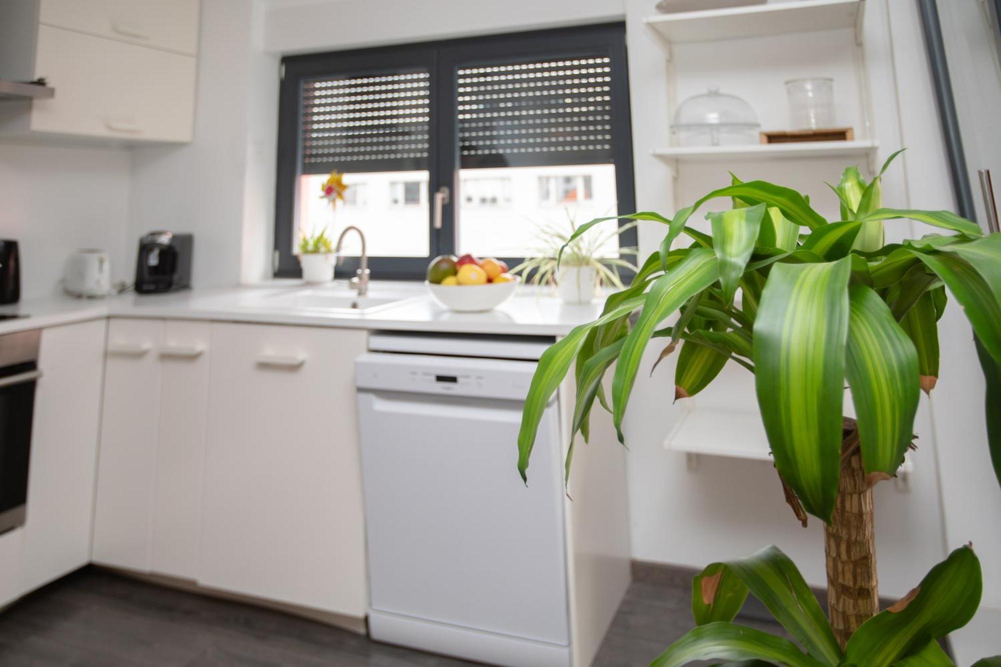 Apartment Moderne Au Centre