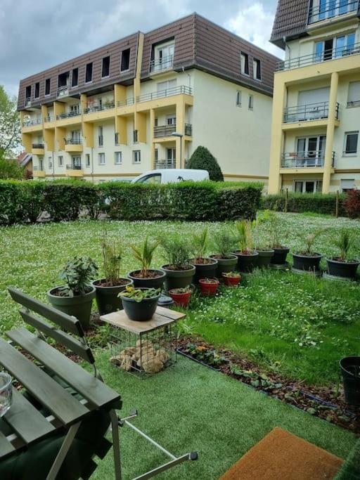Appartement L'univers Au Blanc. Strasbourg