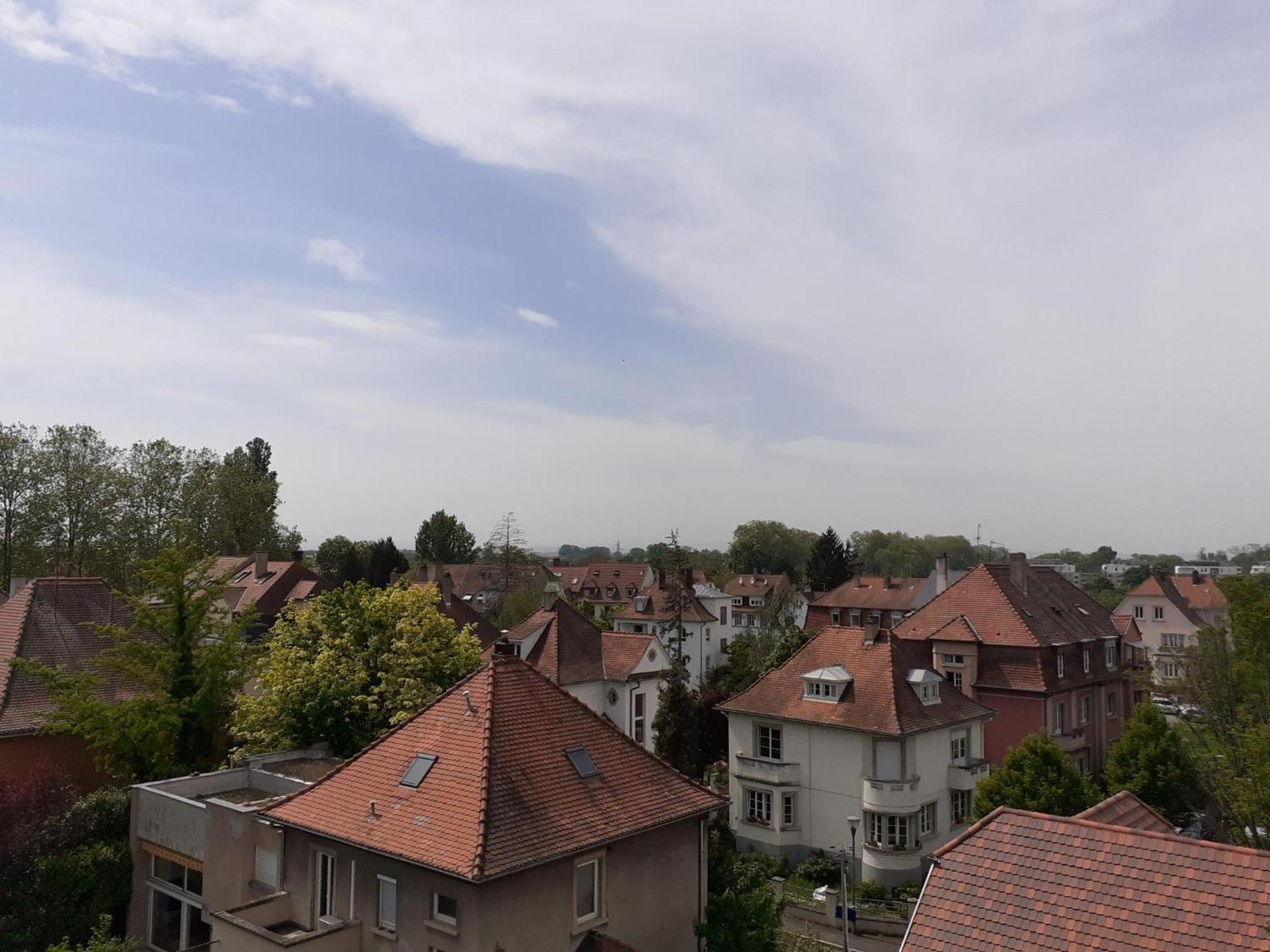 Sur Les Bords De L'ill Appartement Strasbourg