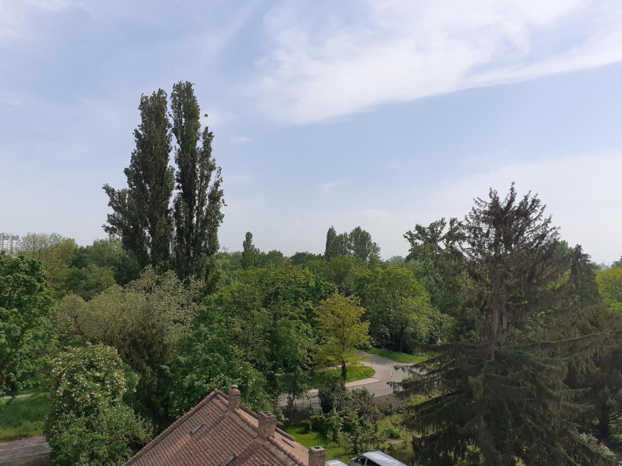 Sur Les Bords De L'ill Appartement Strasbourg