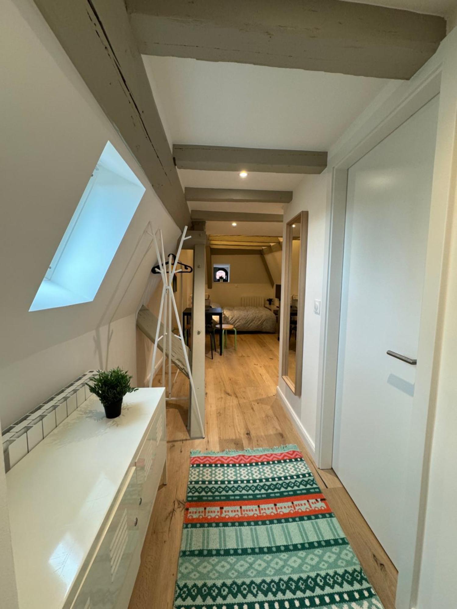 Apartment Le Salzmann Straßburg