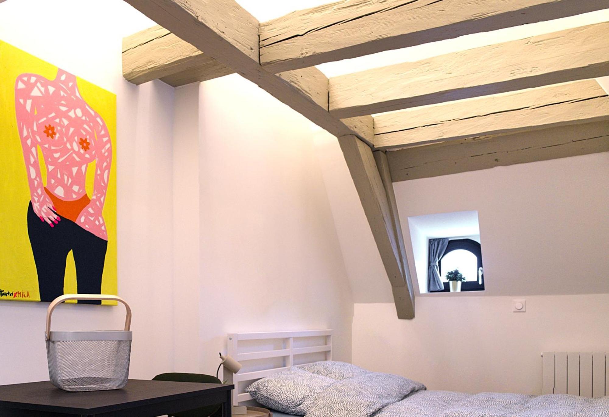 Le Salzmann Appartement Straatsburg