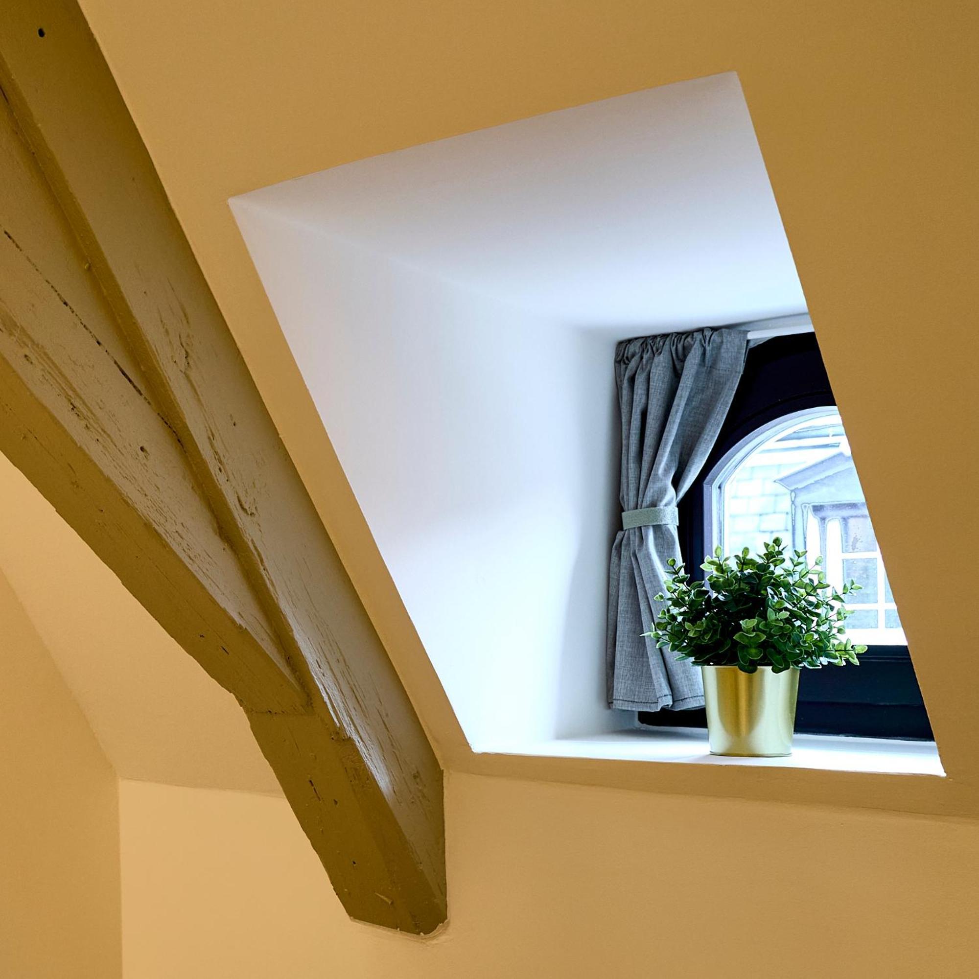 Le Salzmann Appartement *