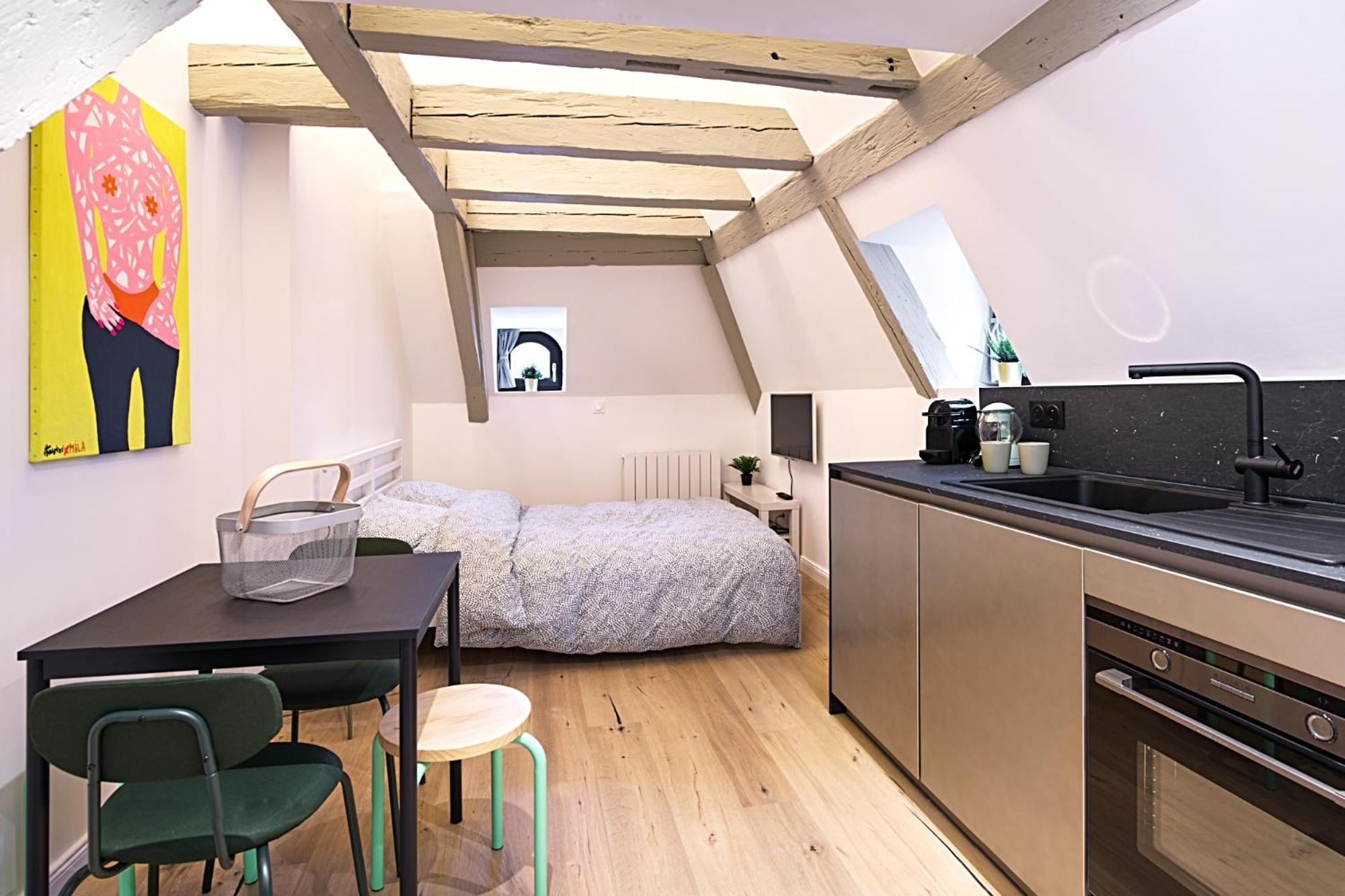 Le Salzmann Apartment Straßburg