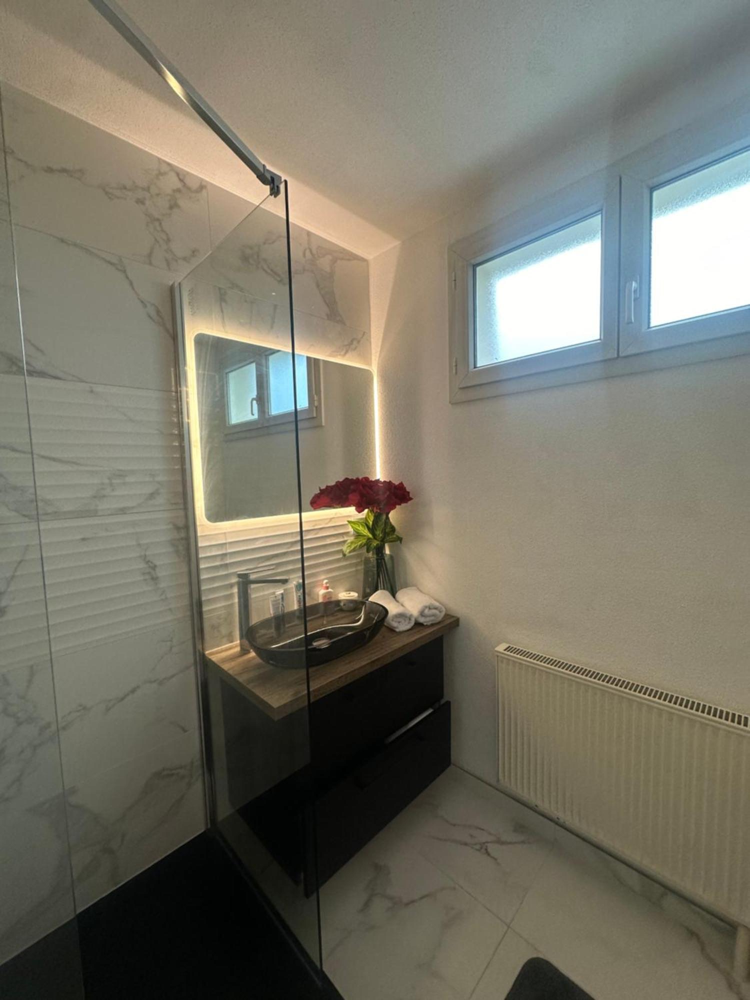 Tres Beau Trois Pieces Avec Vue Degagee Straßburg