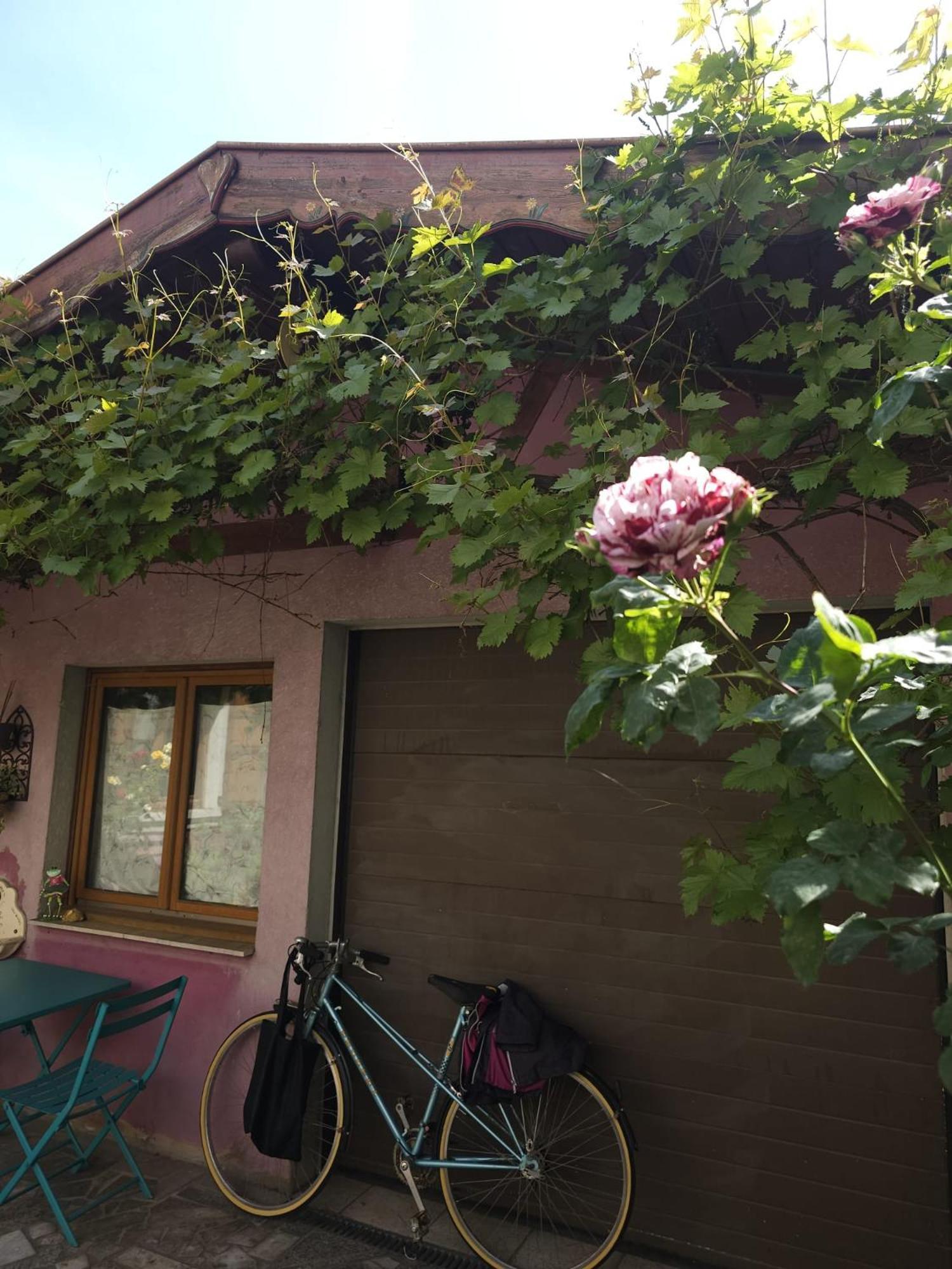 Apartment Petit Paradis Croneuva Straßburg