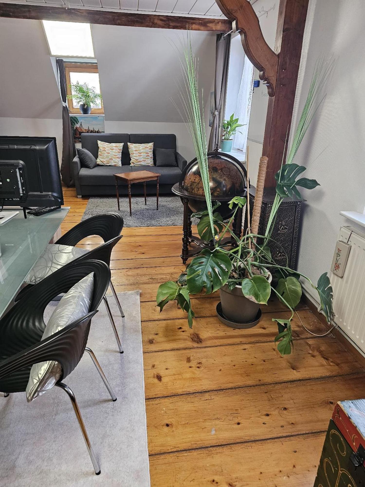 Petit Paradis Croneuva Straßburg