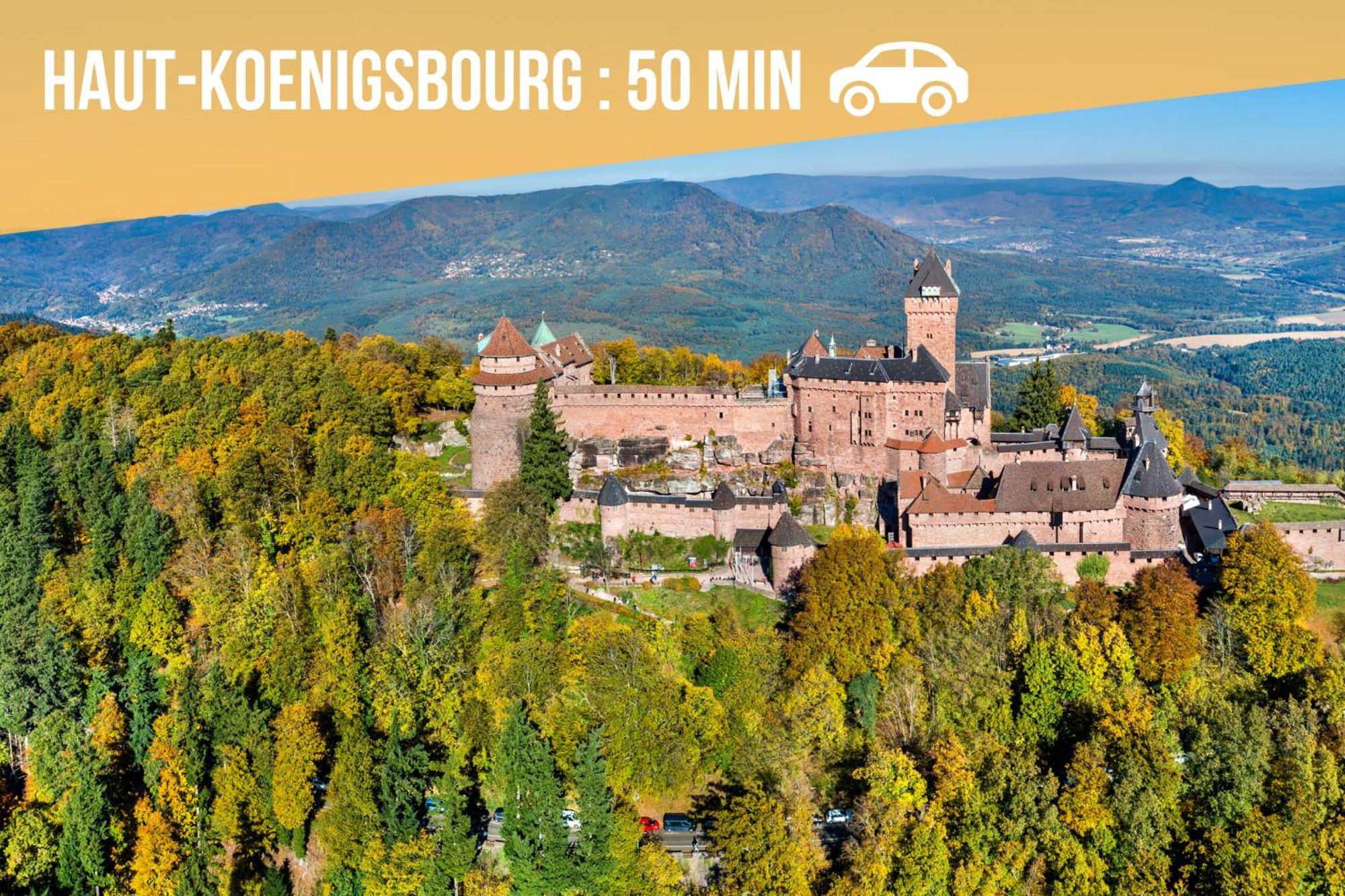 Lit Rond Tres Grand Et Confortable - Garage Possible Ou Parking Gratuit Rue - Gare 2 Min Et 4 Min En Tram - Ciel Etoile - Netflix Videoprojecteur - Luxe Et Evasion Apartment Strasbourg