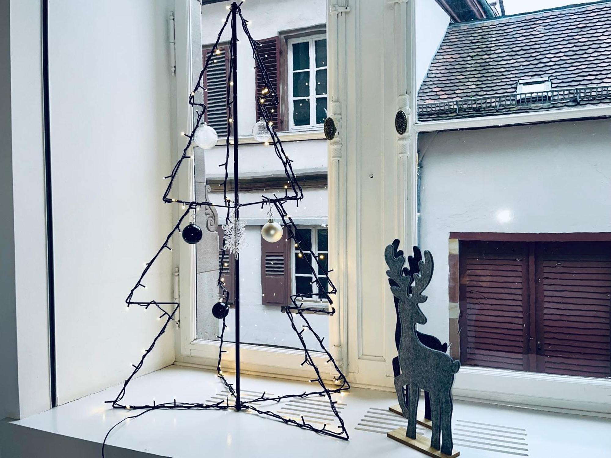 Loft Saint Thomas - Petite France Appartement