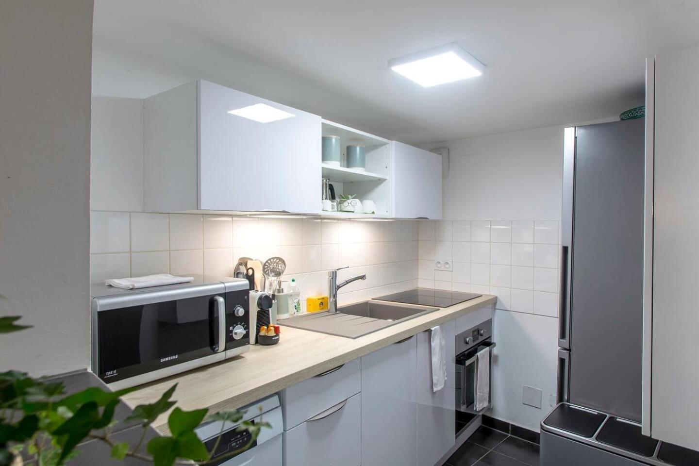Appartement Chez Samuel 3 Pieces Au Coeur De La Krutenau