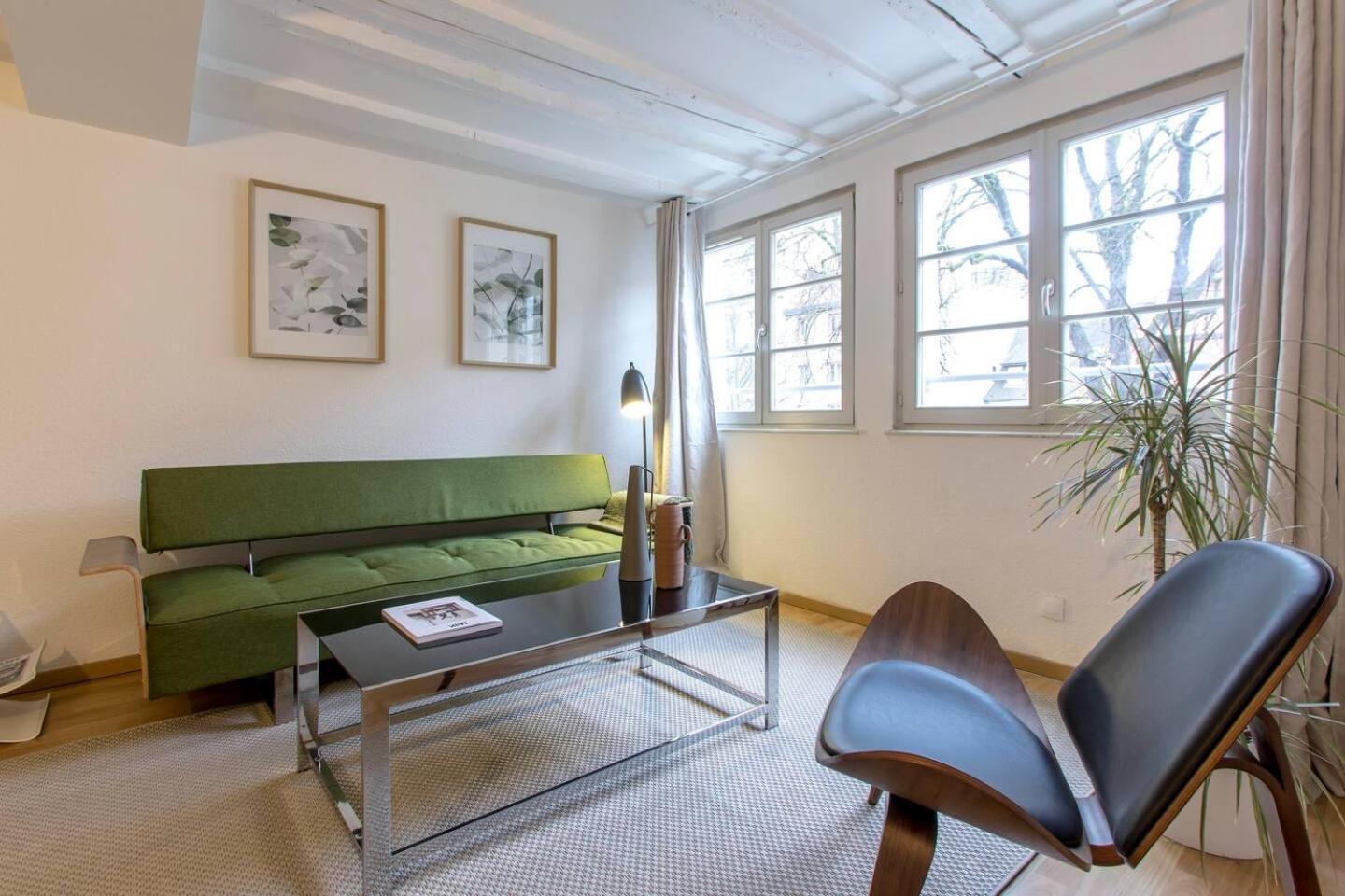 Appartement Chez Samuel 3 Pieces Au Coeur De La Krutenau *