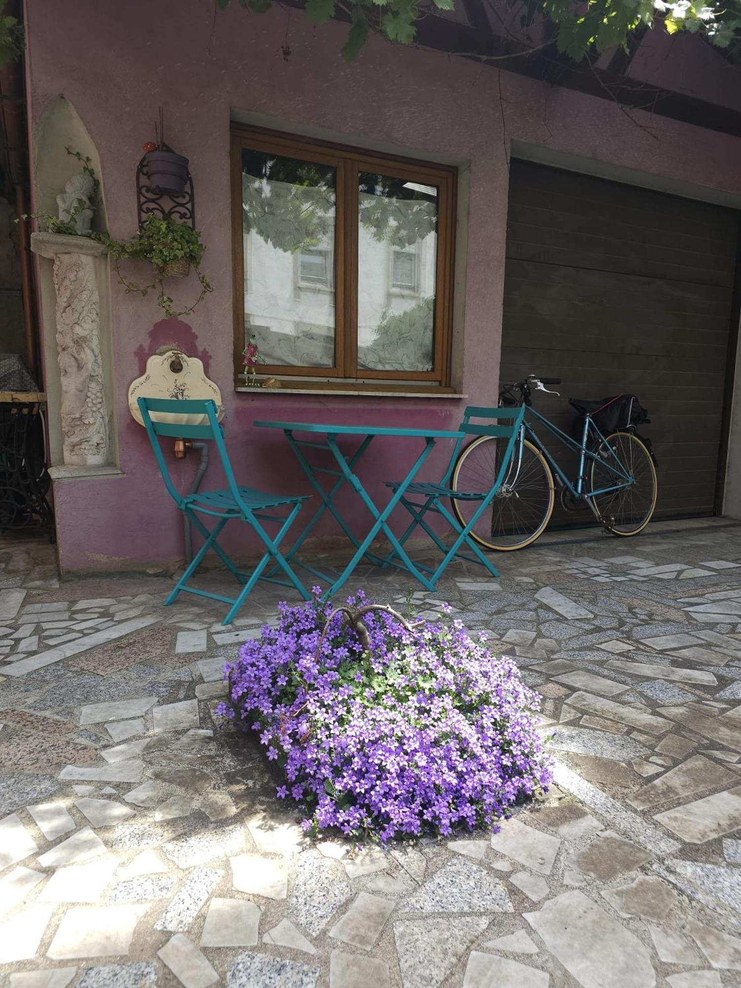 Apartment Petit Paradis Croneuva