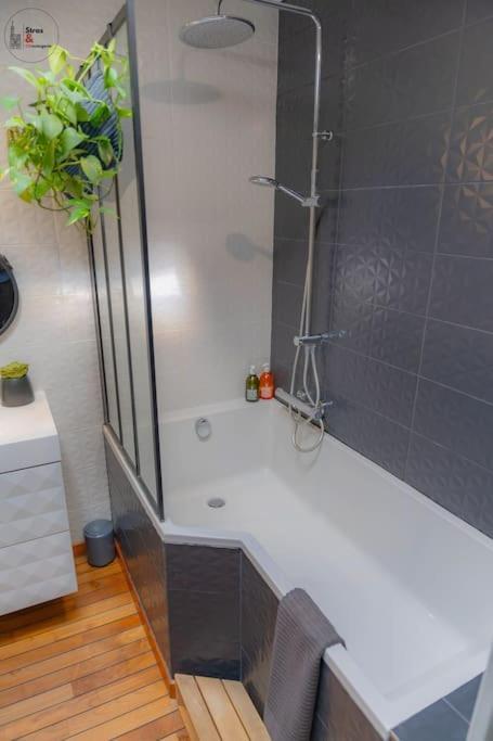 Le Roble - 5 Min Du Centre De Apartment