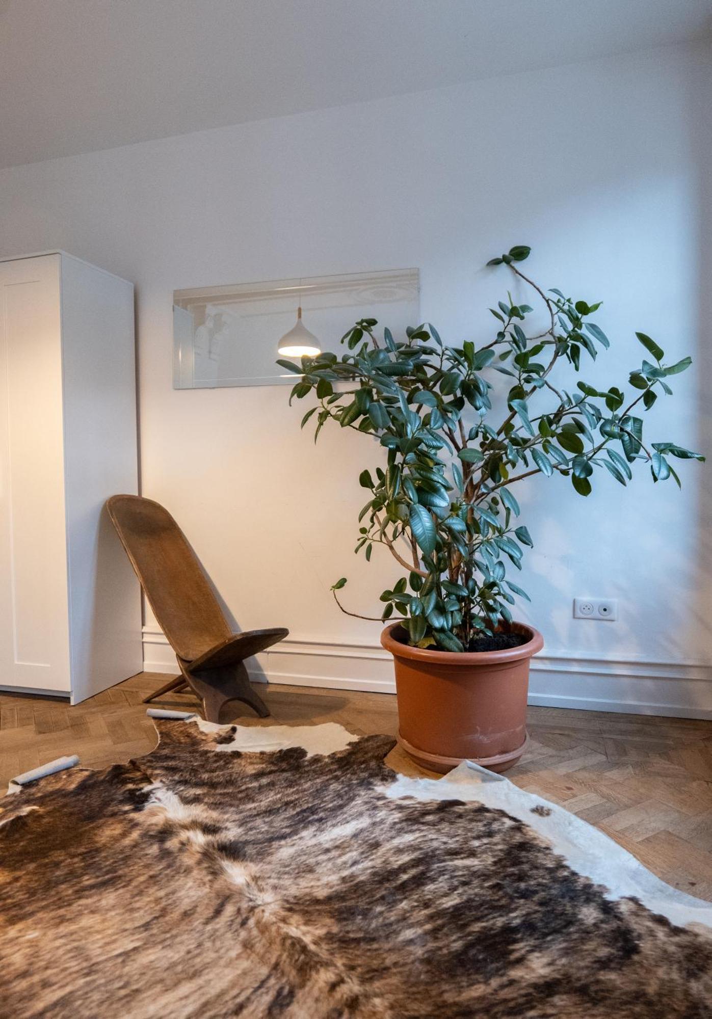 Apartment Rue Des Veaux - Quartier Cathedrale