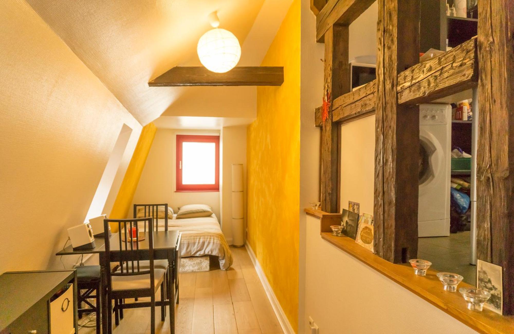 Charming Attic Duplex In The Heart Of Appartement *