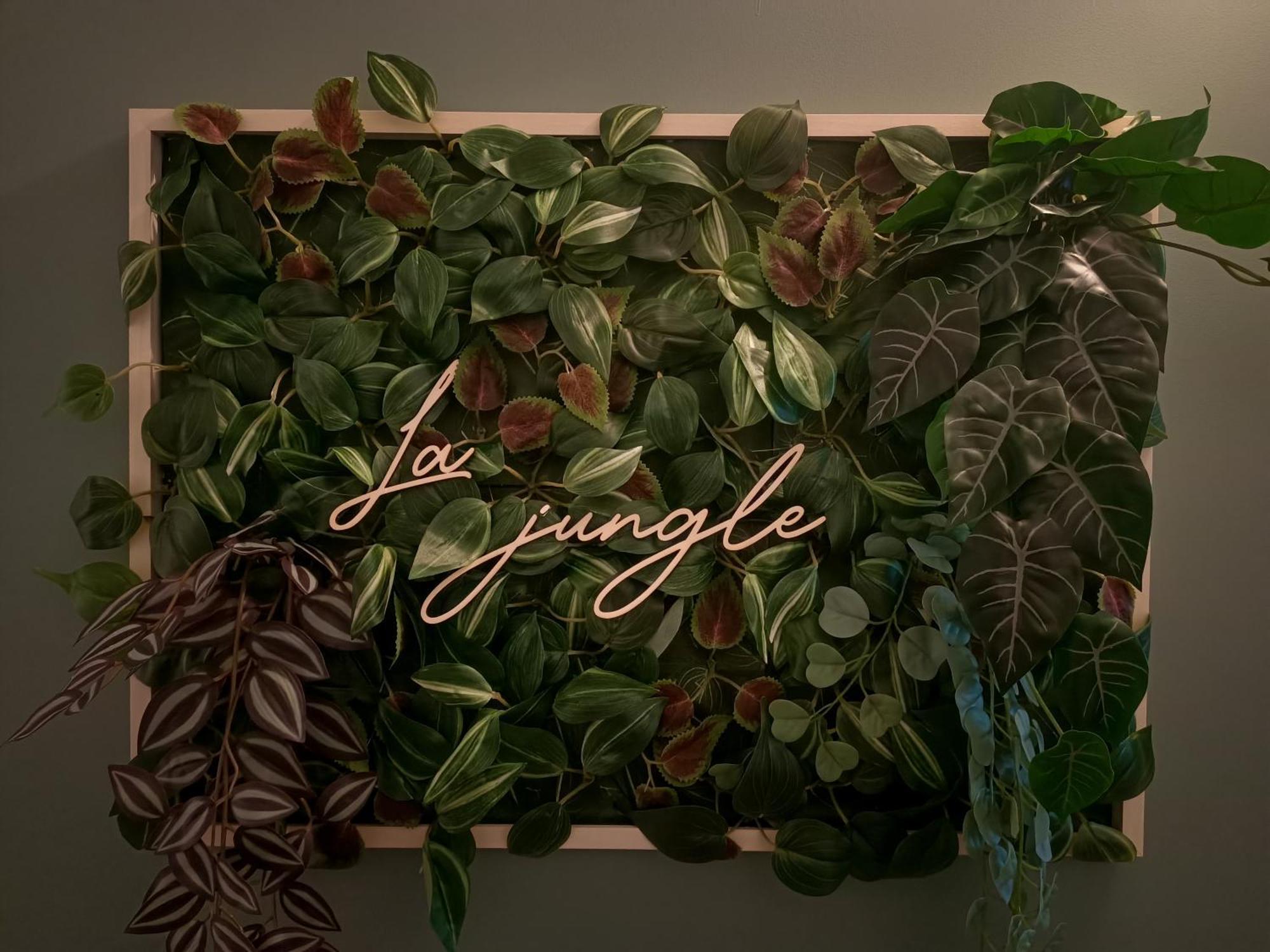 Appartement - La Jungle -