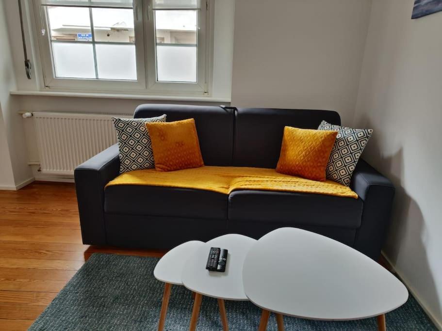 Near The Magic 6 Persons Apartment, 5-minute Walk To Christmas Market! Appartement Strasbourg