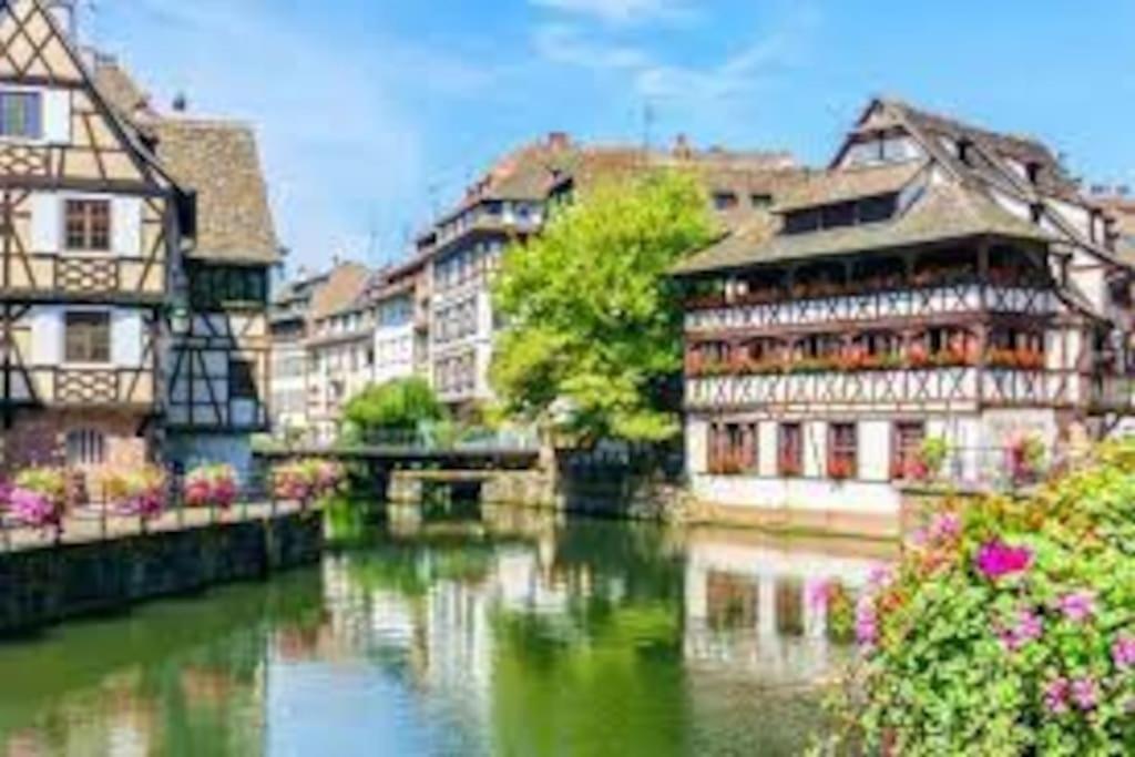 Near The Magic 6 Persons Apartment, 5-minute Walk To Christmas Market! Strasbourg