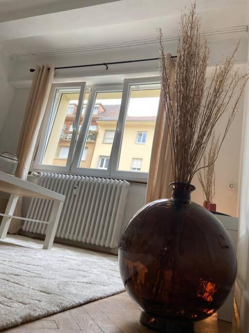 Charismatique Orangerie-10min Parlement Eu-wifi-tv Apartment