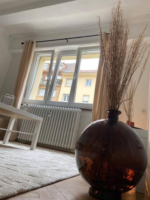 Apartment Charismatique Orangerie-10min Parlement Eu-wifi-tv
