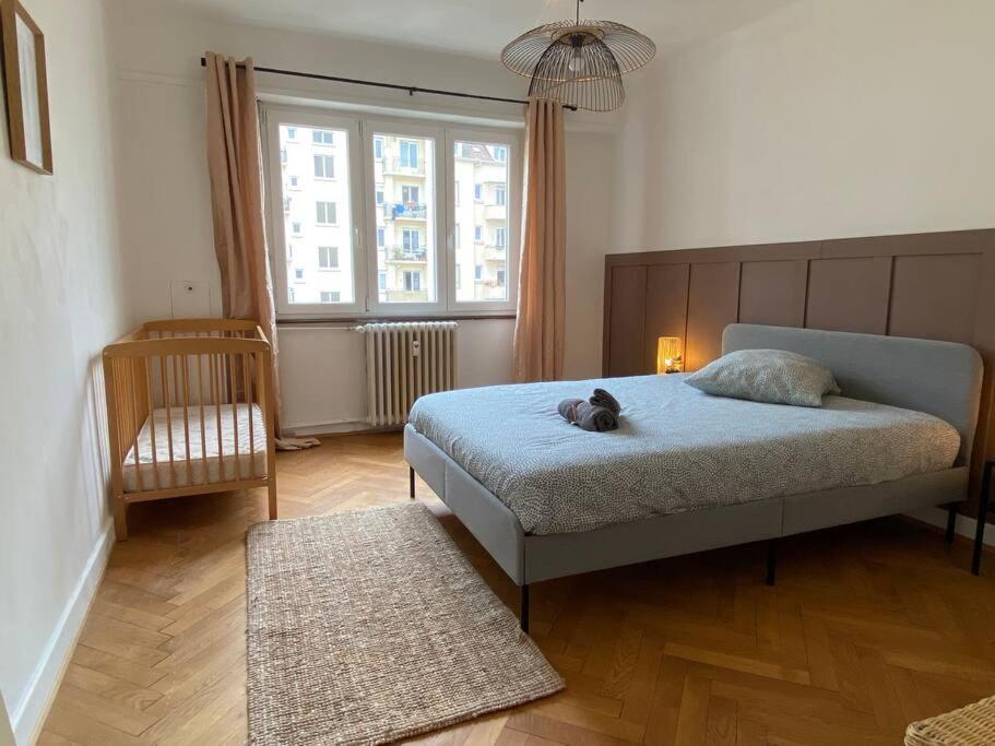 Apartment Charismatique Orangerie-10min Parlement Eu-wifi-tv Strasbourg