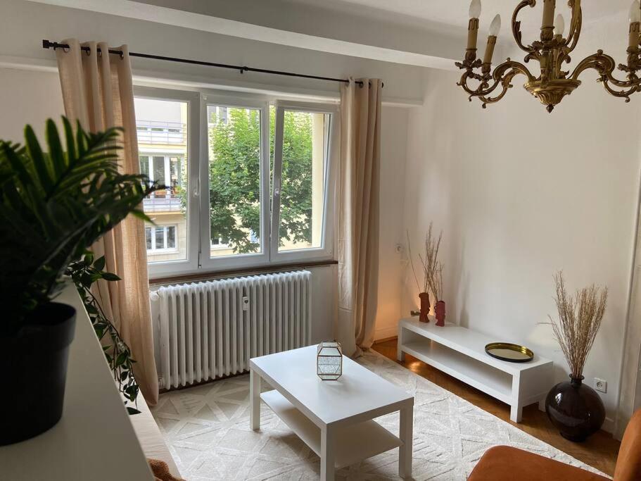 Apartment Charismatique Orangerie-10min Parlement Eu-wifi-tv Strasbourg