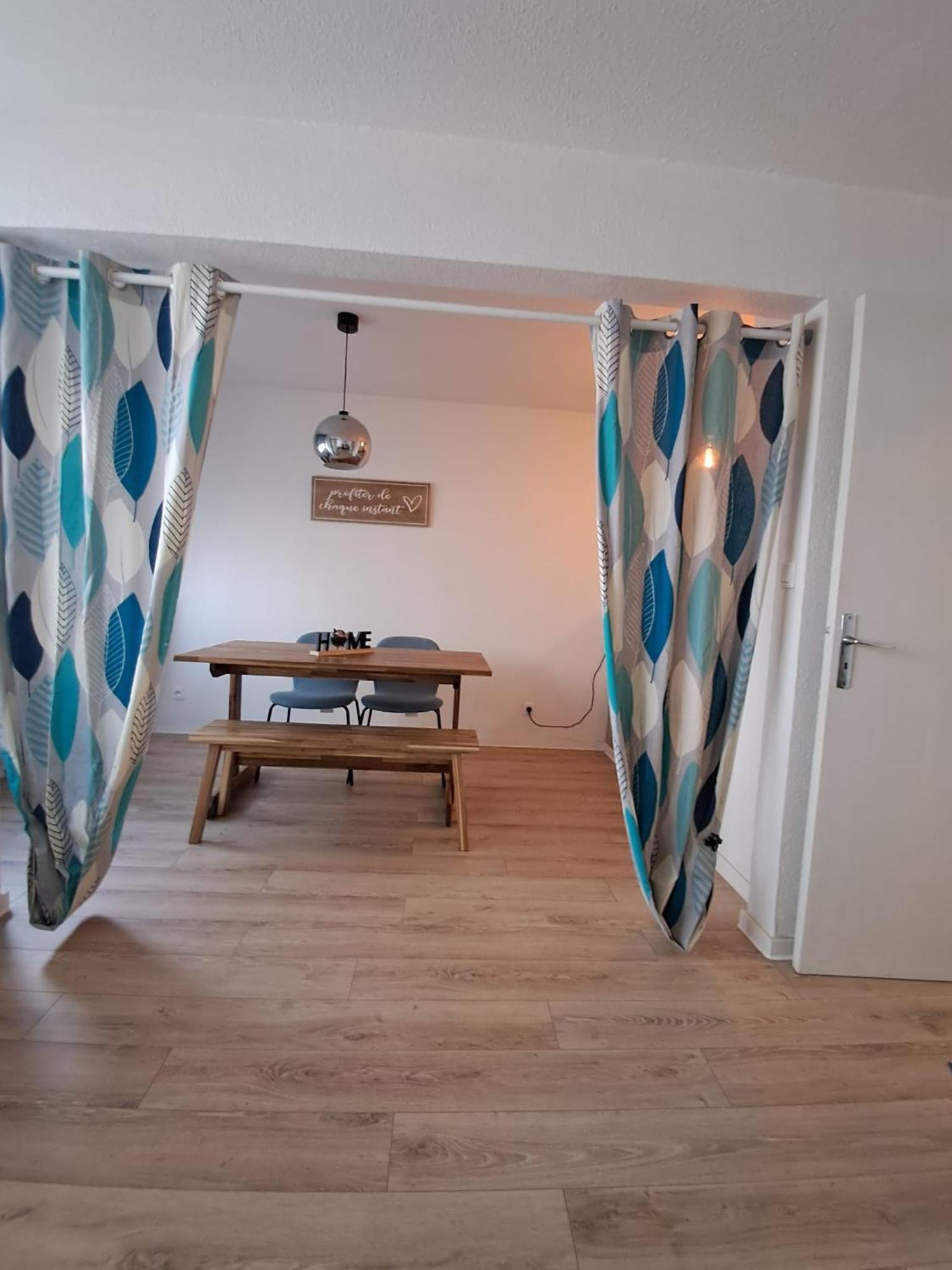 Appartement Le Petit Nid Straatsburg