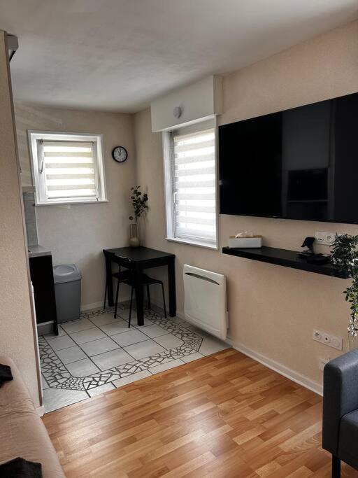 Proche Gare Appartement Strasbourg