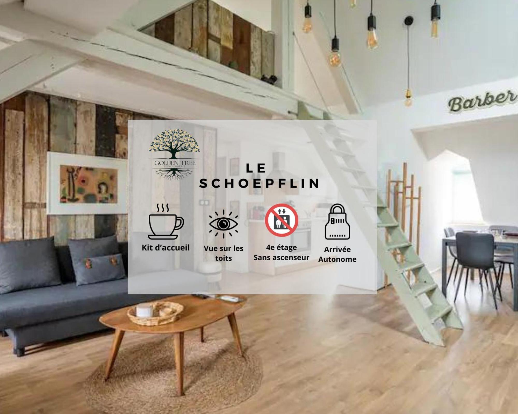 Le Schoepflin - Coeur De - Vue Toits Appartement