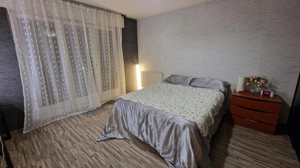 Lumineux Proche Du Centre Apartment