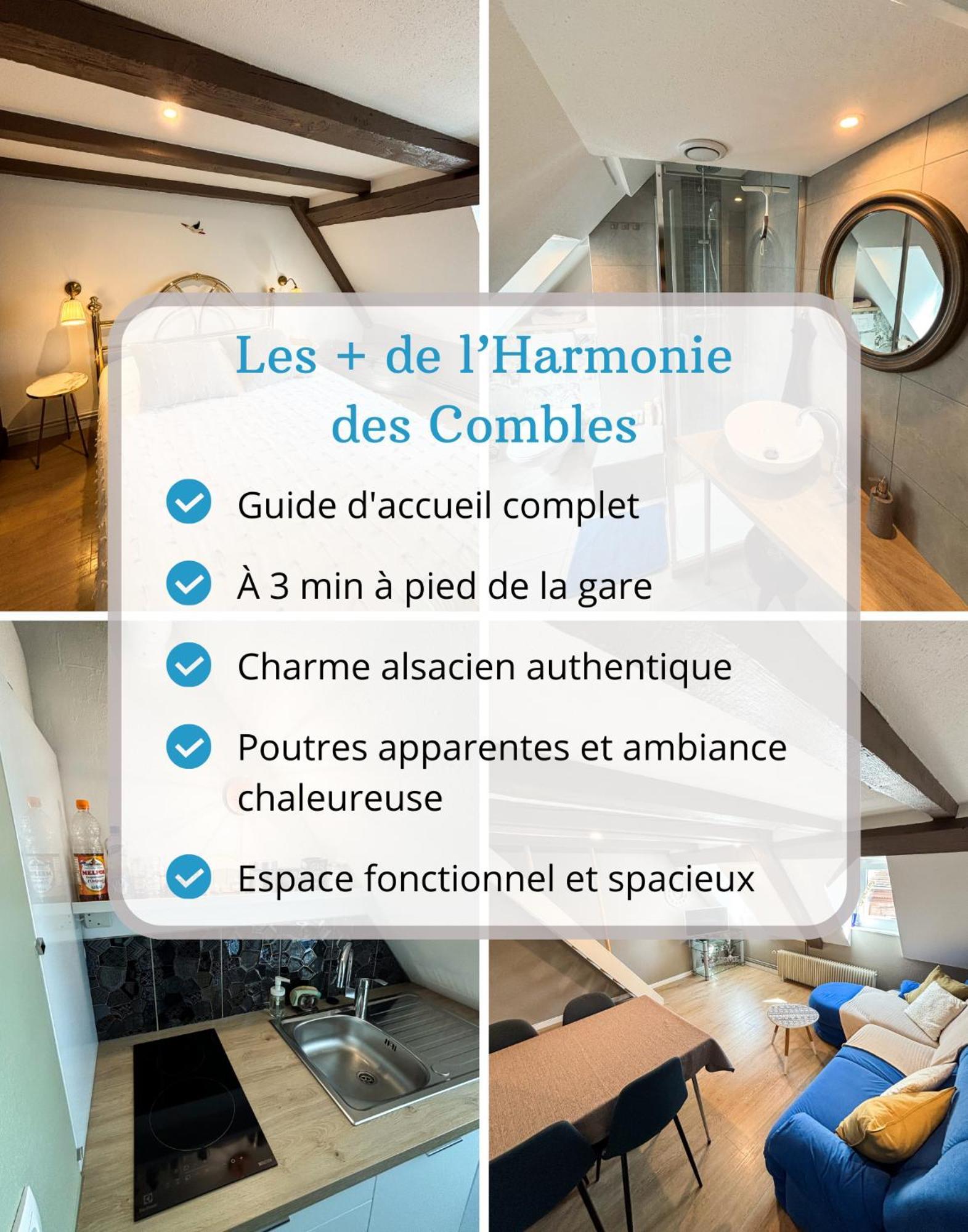 L'harmonie Des Combles - Proche Gare - Petite France - Commerces A Proximite Appartement