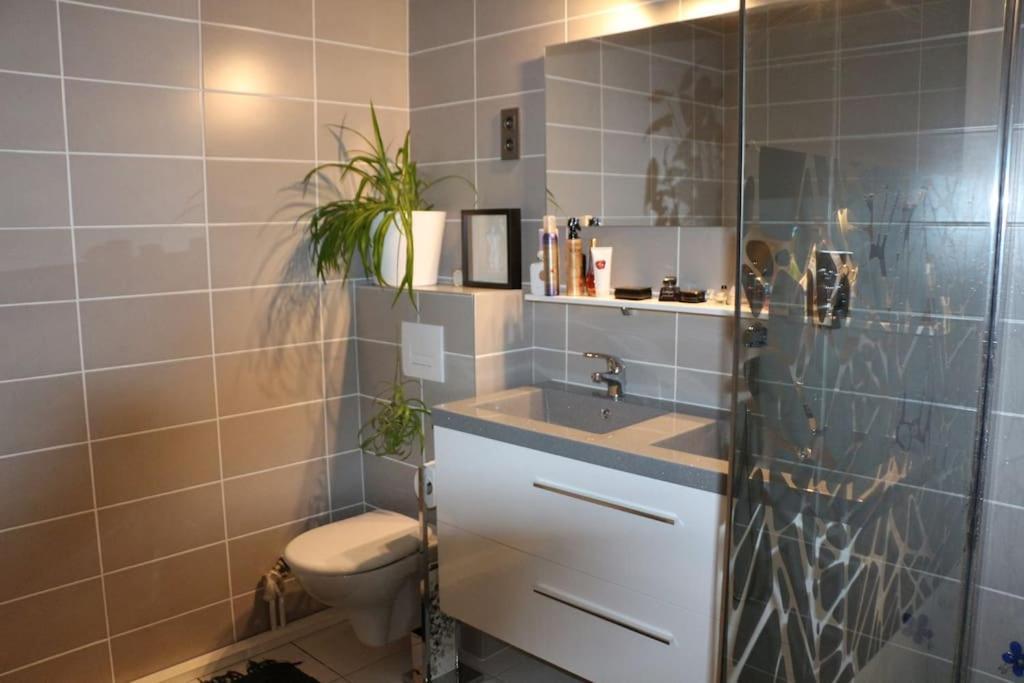 Place De L'etoile Appartement Strasbourg