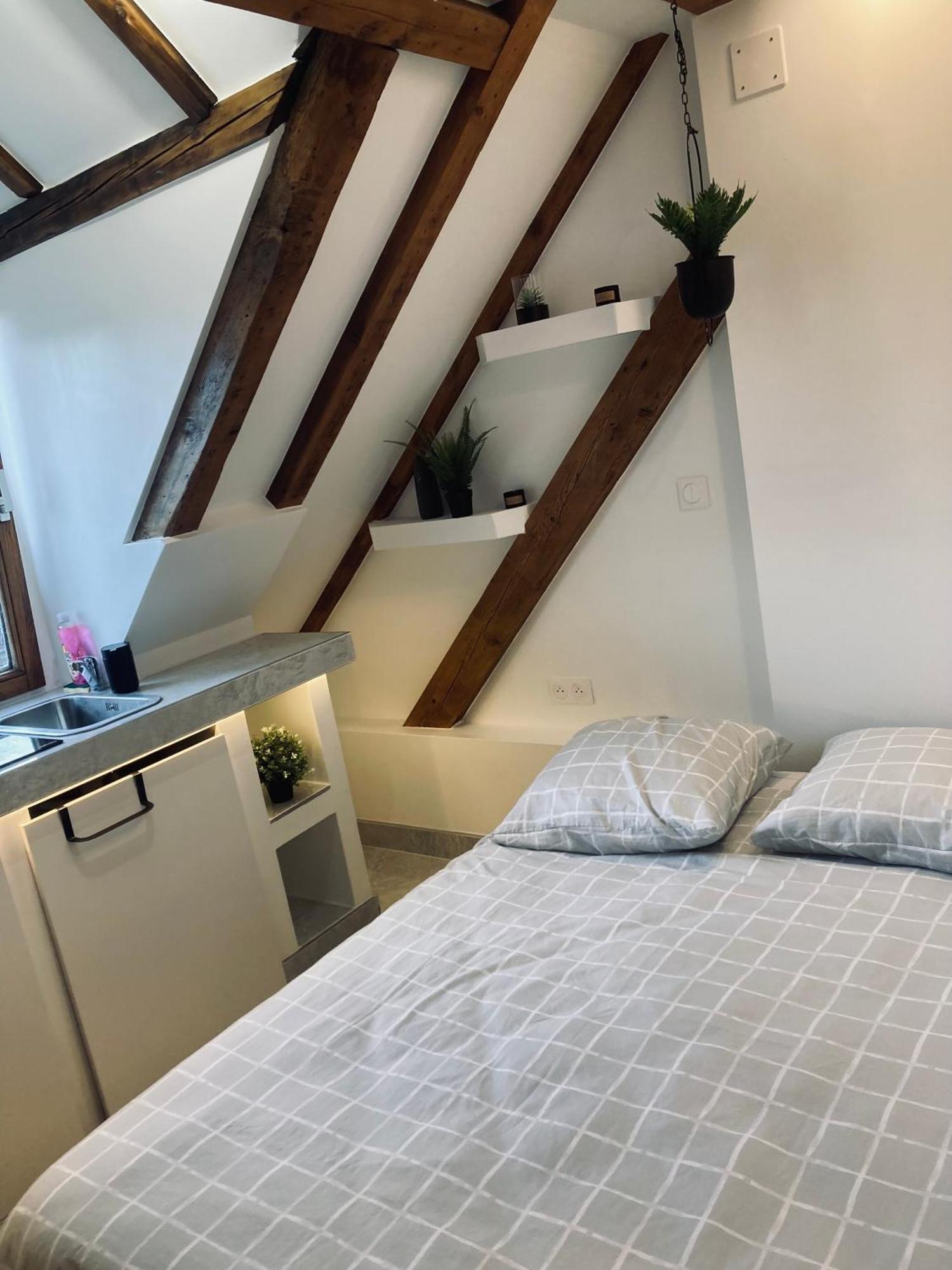 Apartment Petit Nid Sympa A Straßburg